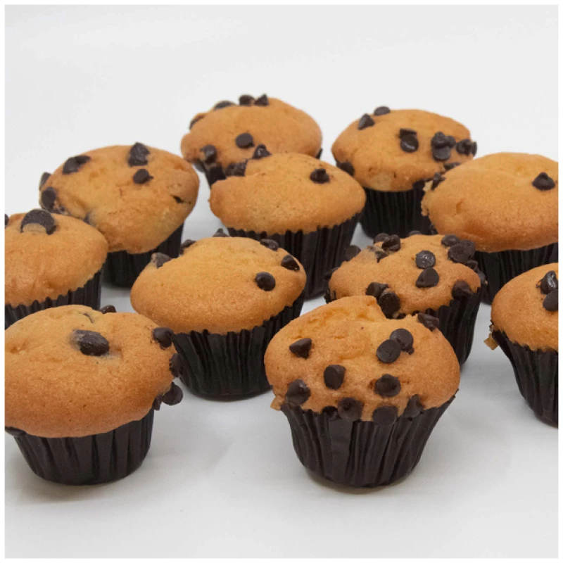 chocolate chip minis